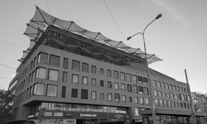 PXL_20251104_070954978-1